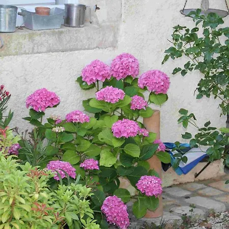 D'hotes Le Logis Du Port Paradis Bed & Breakfast