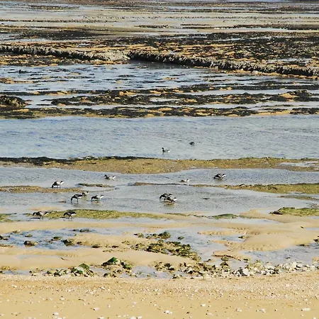 D'hotes Le Logis Du Port Paradis Bed & Breakfast 3*