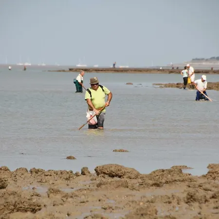 D'hotes Le Logis Du Port Paradis Nieulle-sur-Seudre