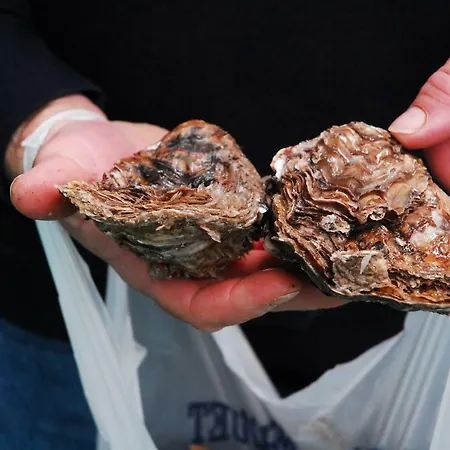 D'hotes Le Logis Du Port Paradis