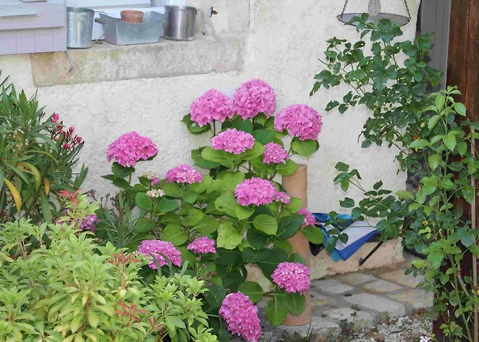 D'hotes Le Logis Du Port Paradis Bed & Breakfast